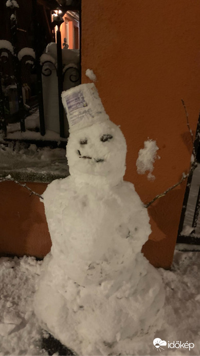 Észlelési fényképek