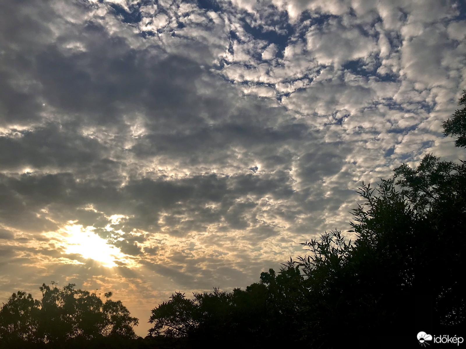 Észlelési fényképek