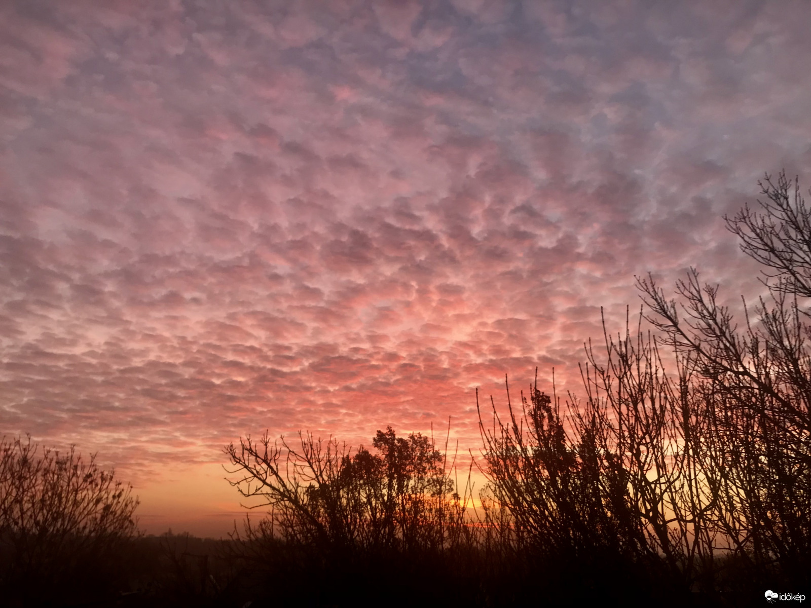 Észlelési fényképek