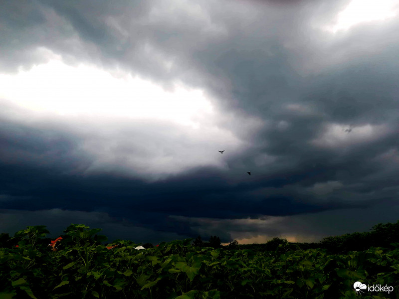 Észlelési fényképek