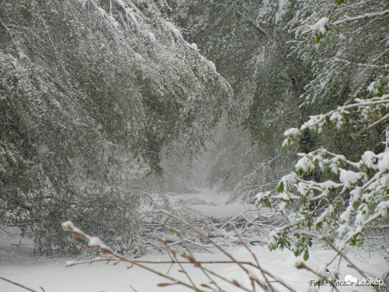 Észlelési fényképek