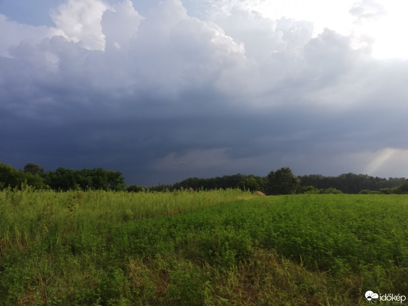 Észlelési fényképek