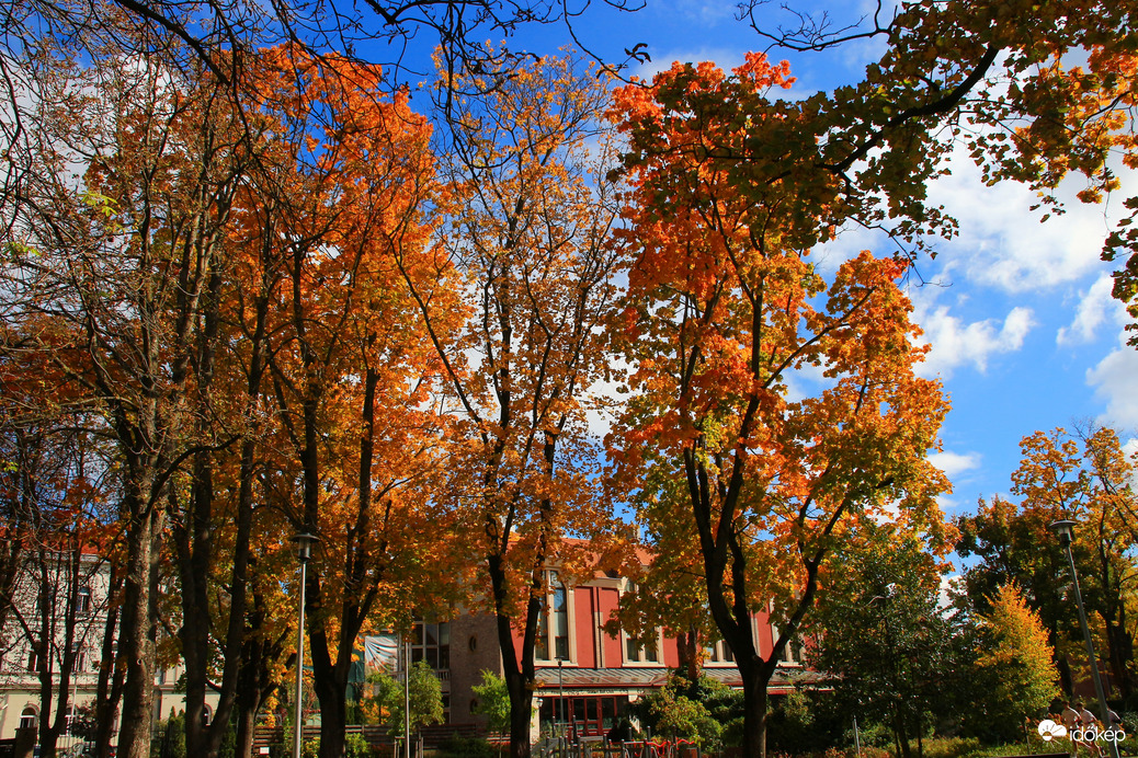 Eötvös park