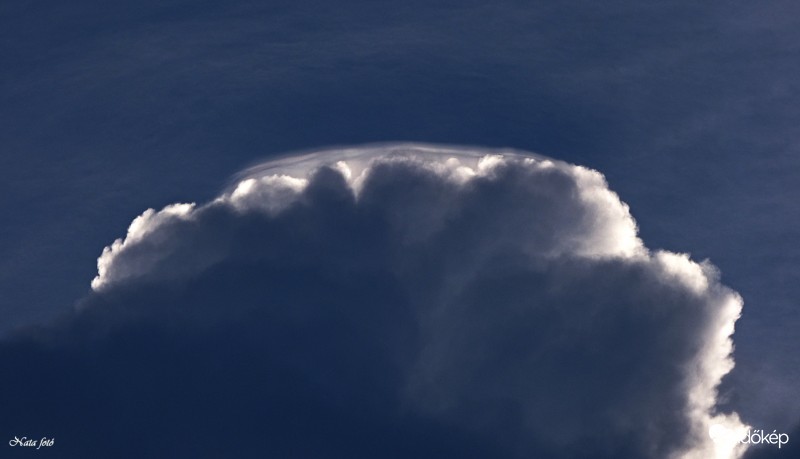 Felhősapi ellenfényben