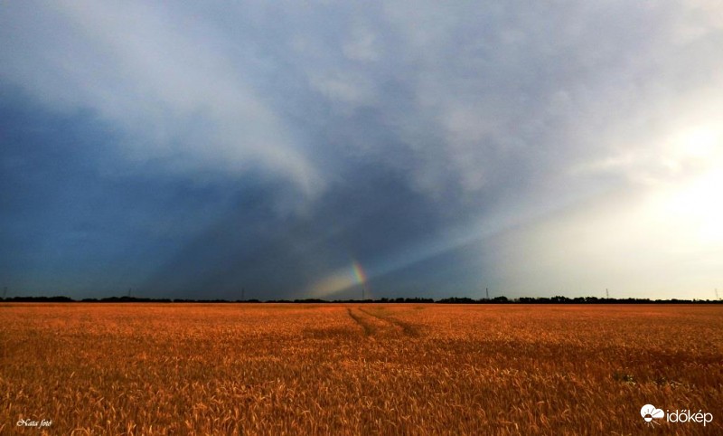 Anti-krepu és szivi :)