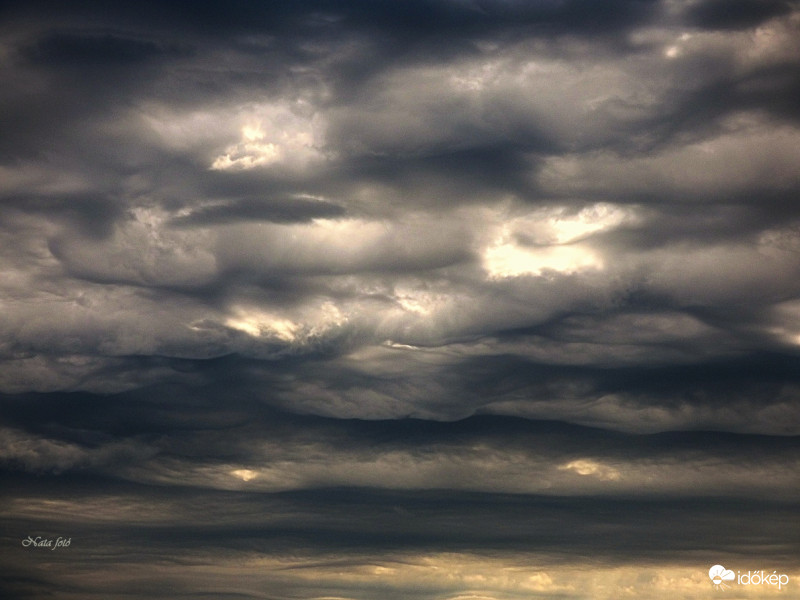 Asperatus