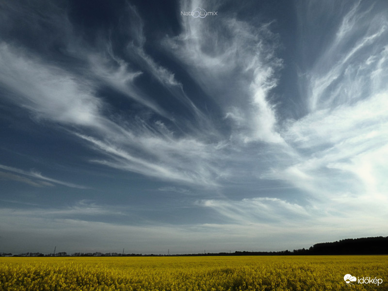 Nagy ívű cirruszok