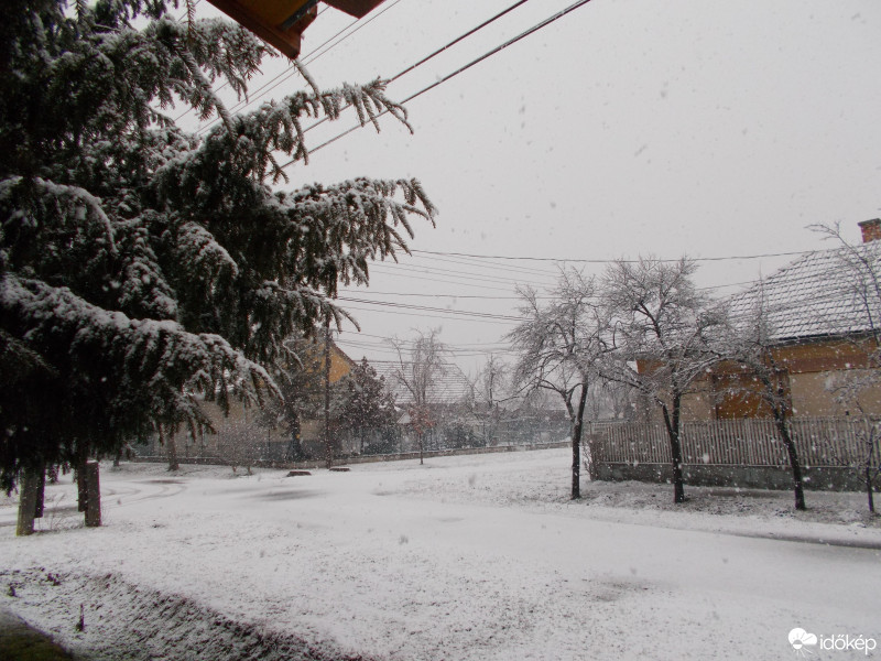 Észlelési fényképek