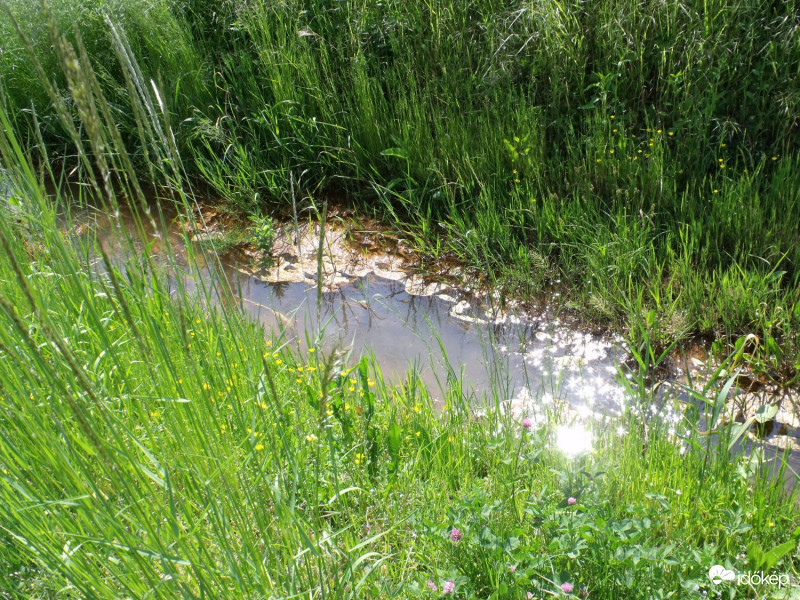 Napfény játszik a patak vizén