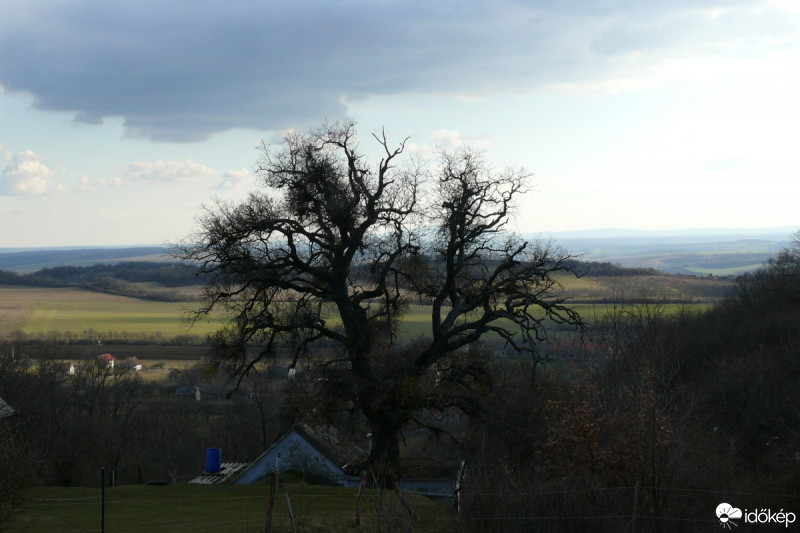 Magyarsarlós