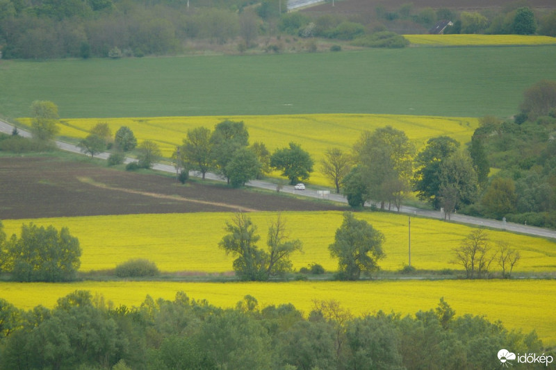 Pécs-Somogy