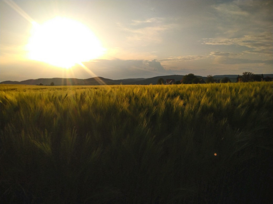 Veľká Ves nad Ipľom