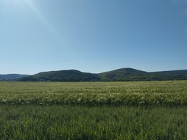 Romhány
