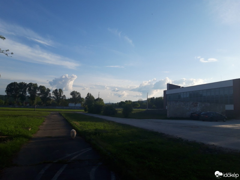 Észlelési fényképek