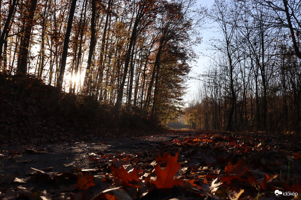 Észlelési fényképek