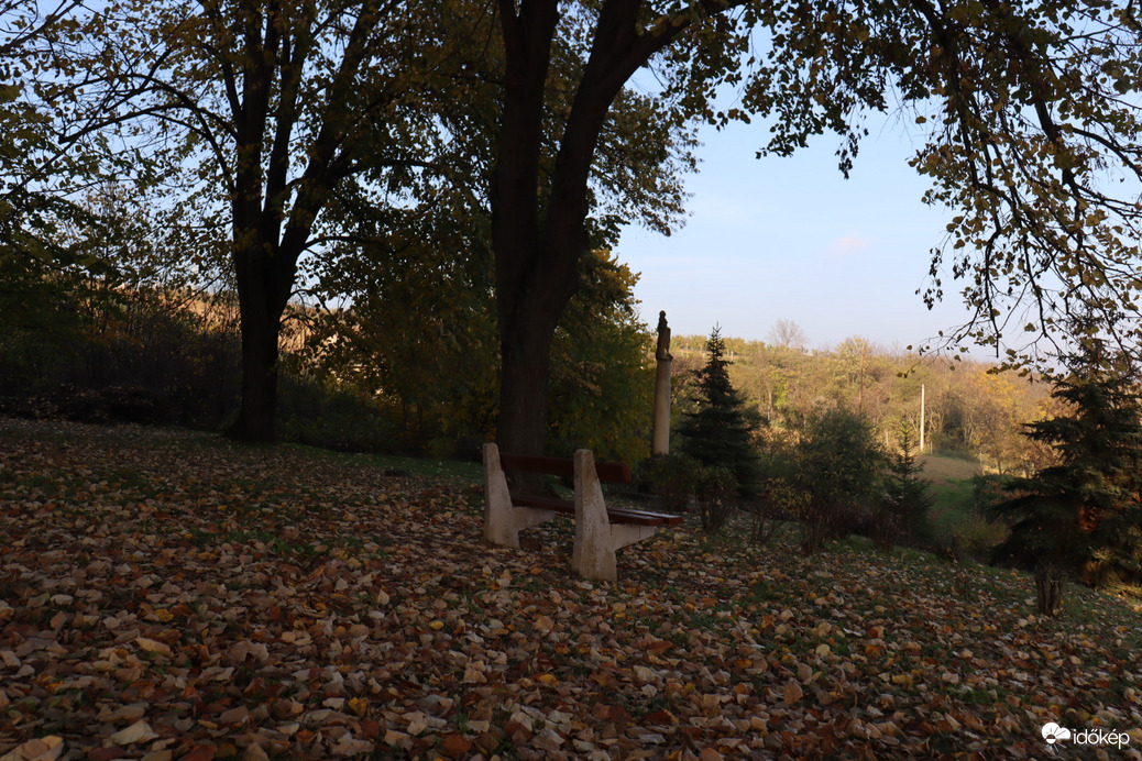 Magányos pad a levelek között