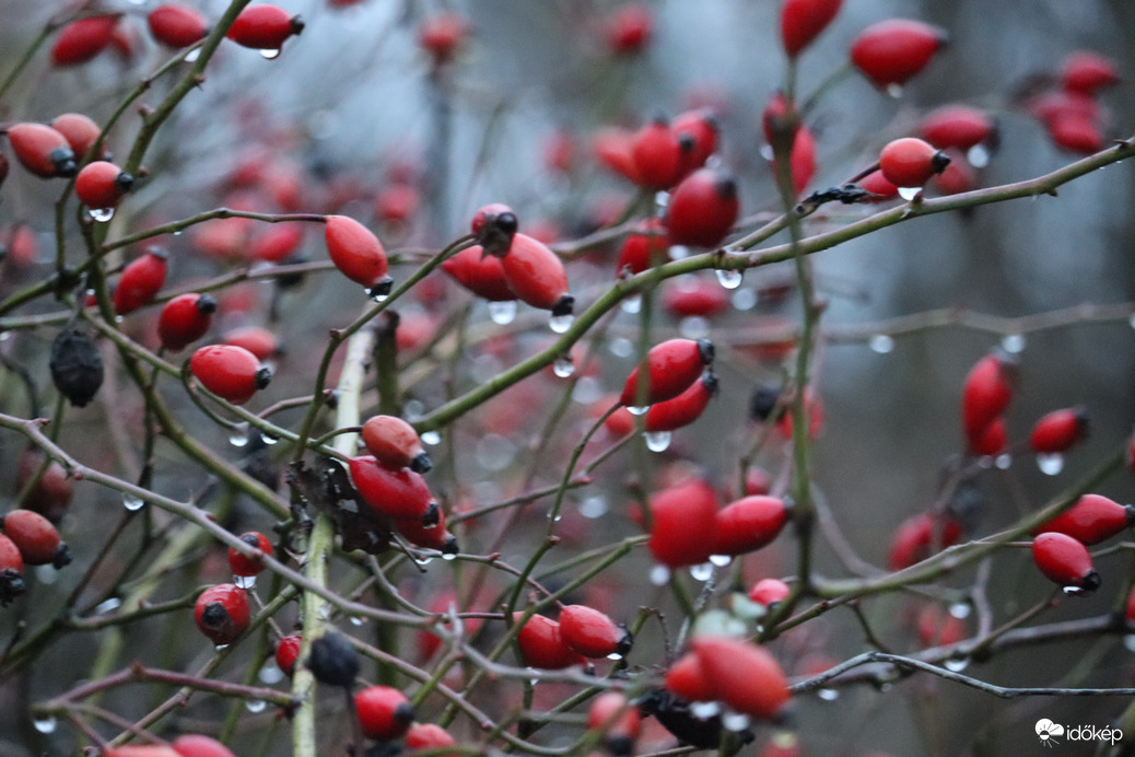 Piros nagy család vizesen 2.