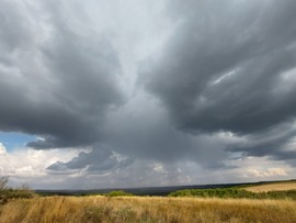 Závod