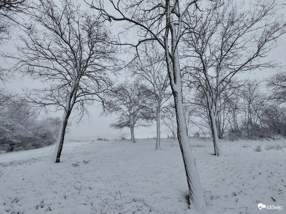 Dombokon a hó vastagsága 3-4cm