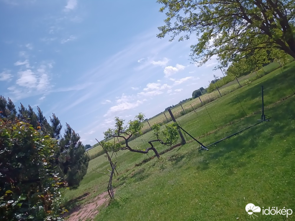 Észlelési fényképek