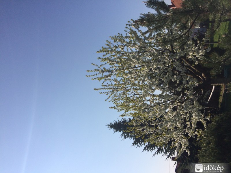 Észlelési fényképek