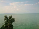 Balatonaliga