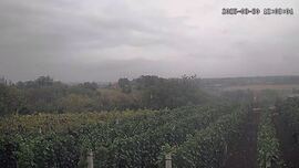 Siófok