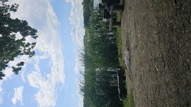 Szajla