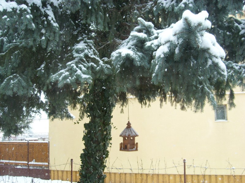 Tél
