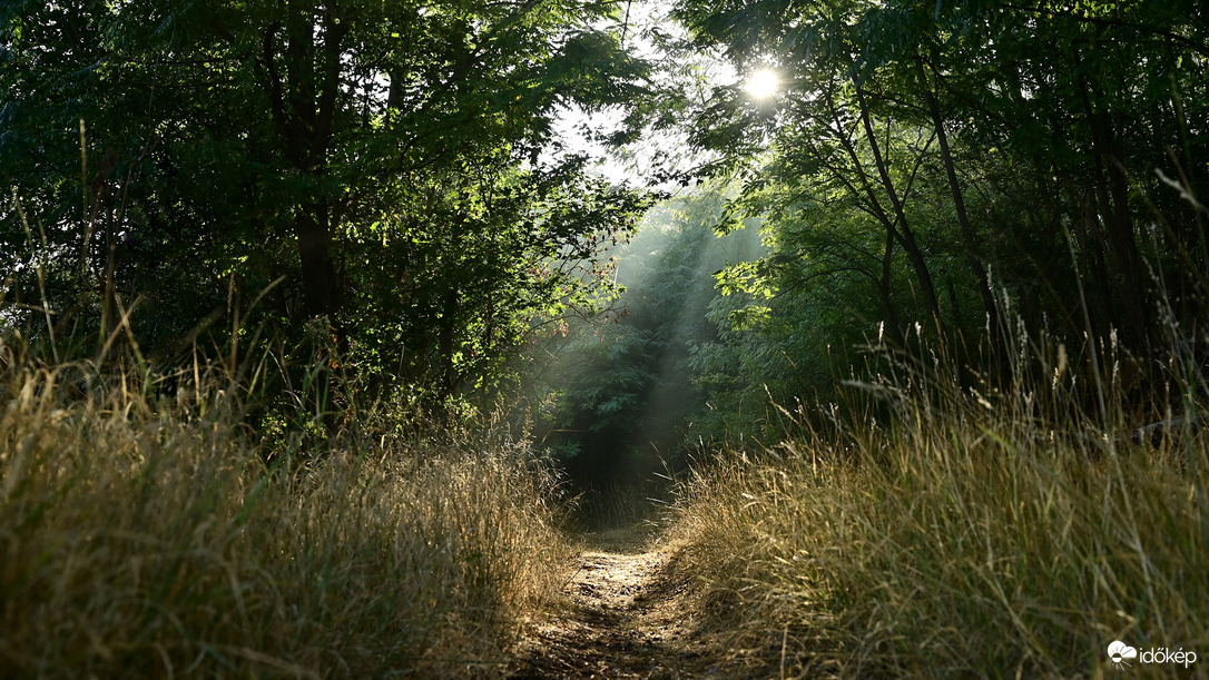 Ősz