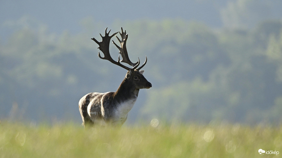Reggeli fényárban.