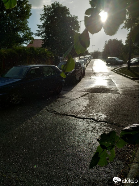 Észlelési fényképek