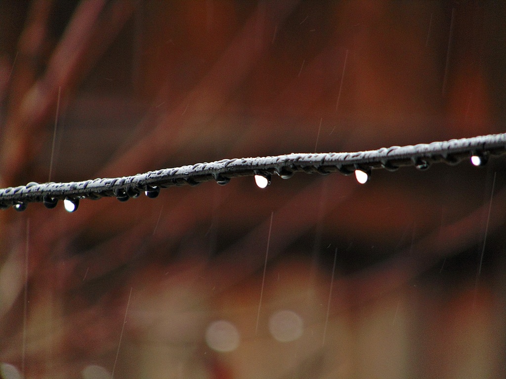 Hódmezővásárhely