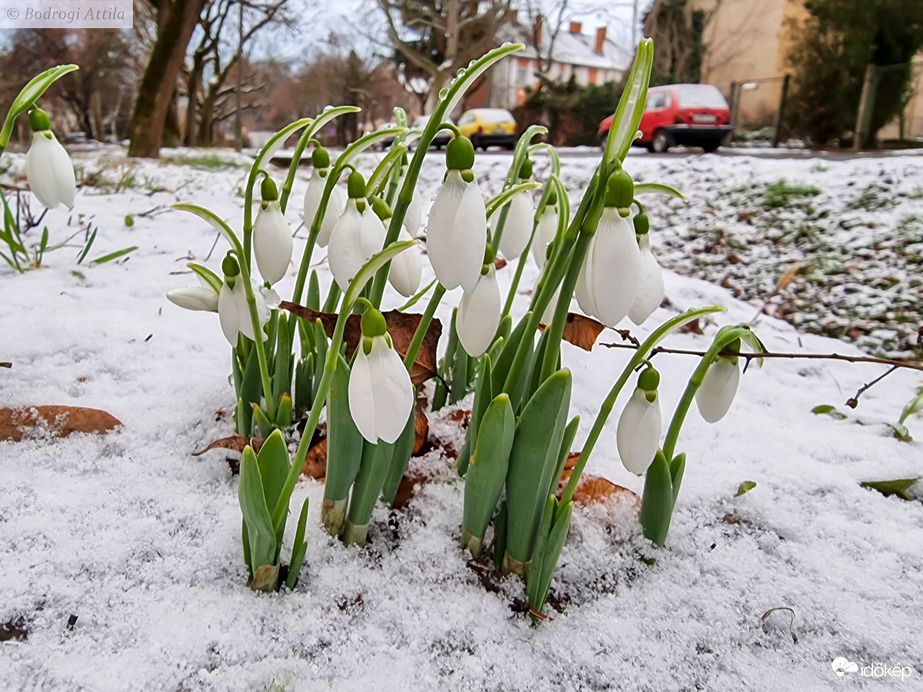 Hajnali havazás után
