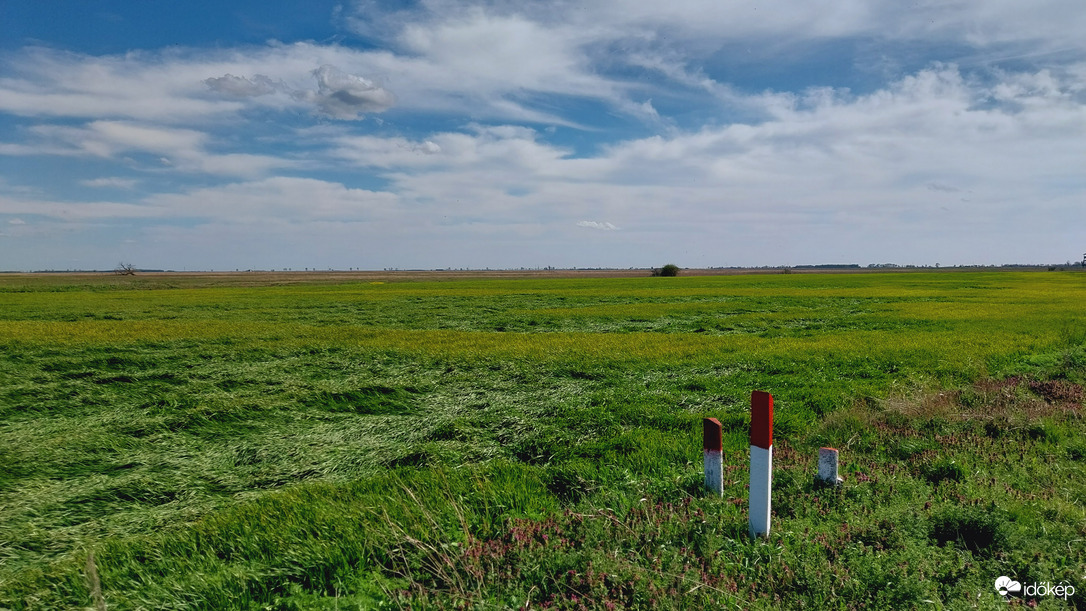 Bogárzó délután.
