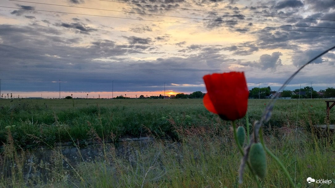 Napfelkelte Szeged.