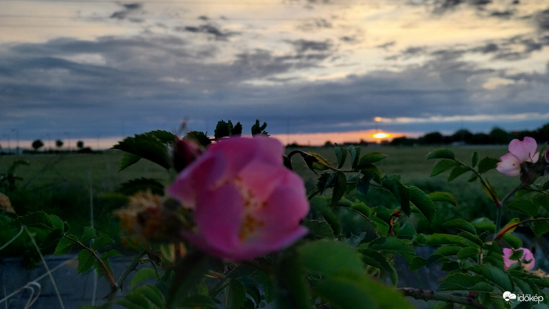 Napfelkelte Szeged.