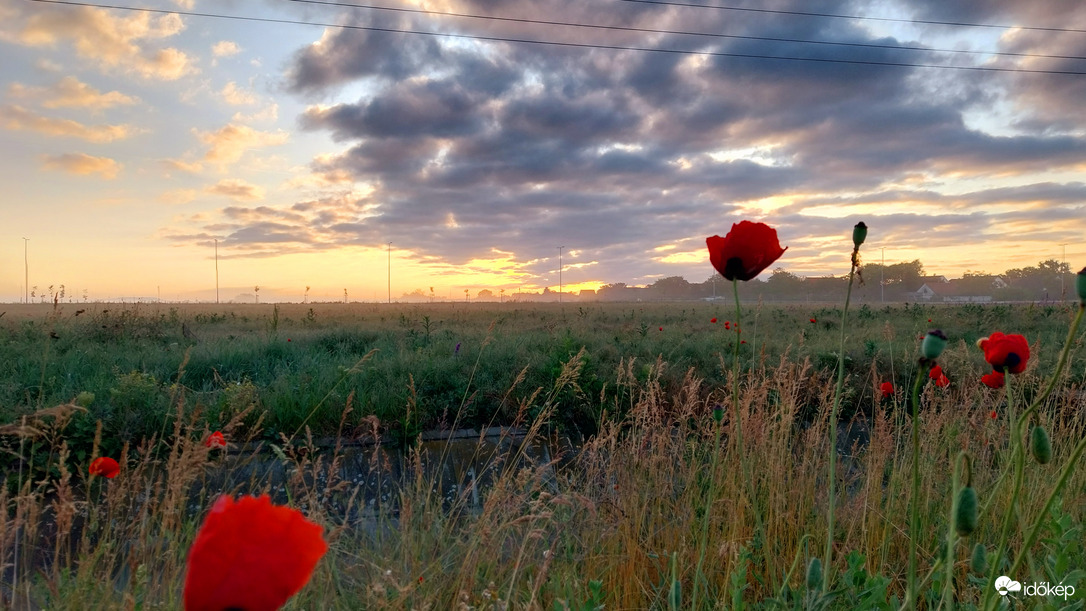 Napfelkelte Szeged.