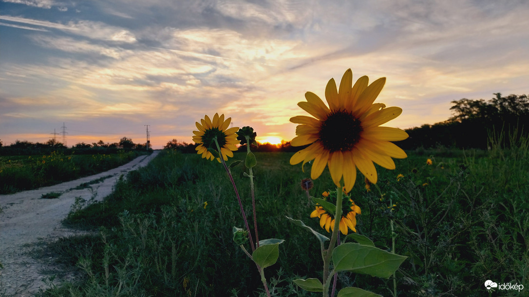 Napfelkelte Szeged.