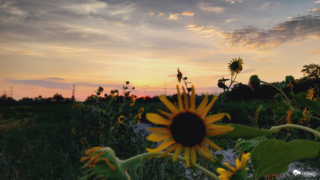Napfelkelte Szeged.