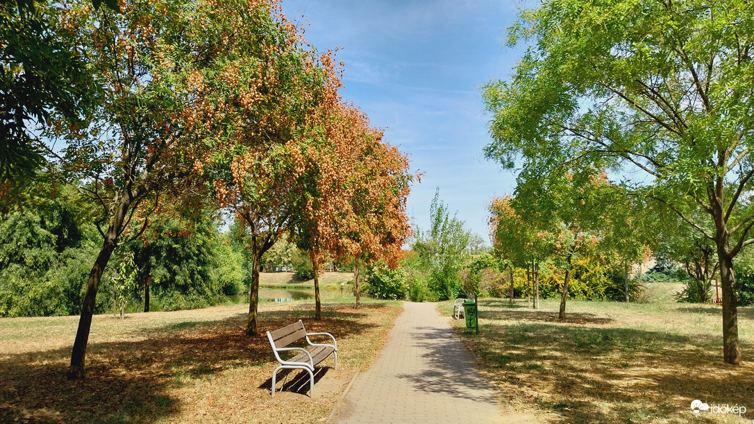 Szeged délután.