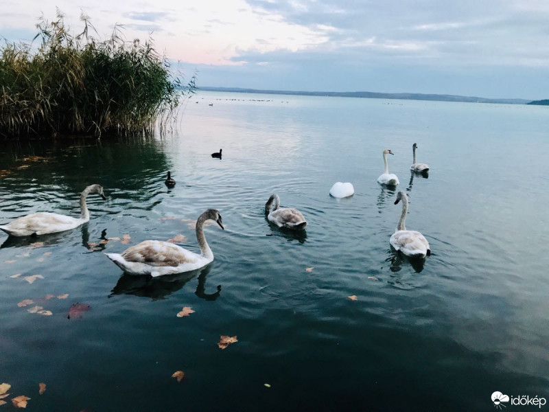 Balatonfüred