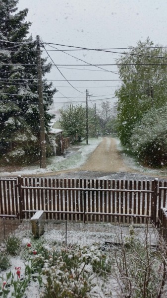 Észlelési fényképek