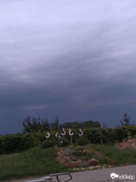 Észlelési fényképek