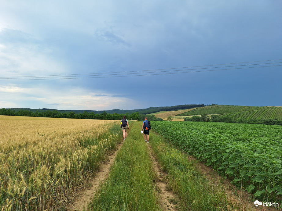Panoráma