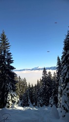 Téli fotópályázat (2024-2025)