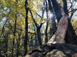 Badacsonyban valahol