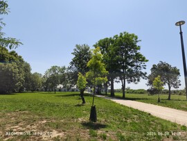 Geszt