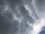 Mammatus