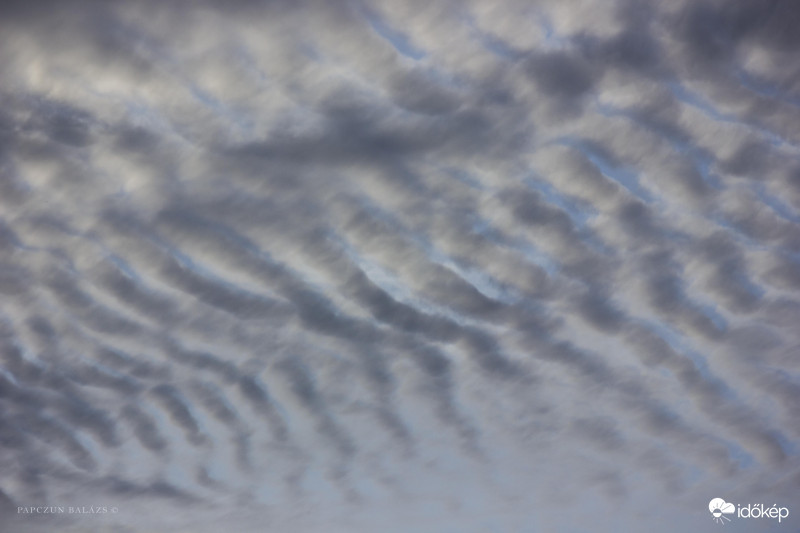 Altocumulus undulatus felhők 